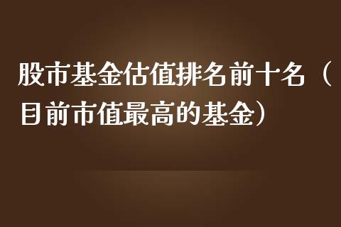 股市基金估值排名前十名（目前市值最高的基金）_https://www.fsyjjx.cn_问财精选_第1张