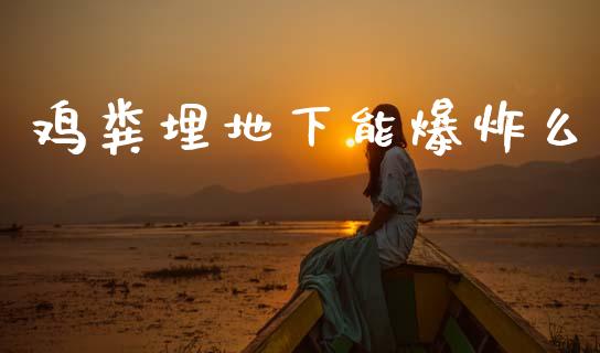 鸡粪埋地下能爆炸么_https://www.fsyjjx.cn_期货资讯_第1张