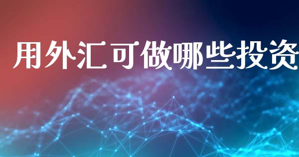 用外汇可做哪些投资_https://www.fsyjjx.cn_期货资讯_第1张