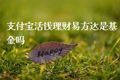 支付宝活钱理财易方达是基金吗_https://www.fsyjjx.cn_问财精选_第1张