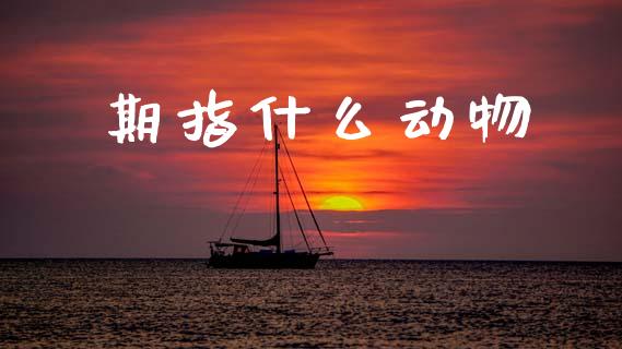 期指什么动物_https://www.fsyjjx.cn_问财精选_第1张