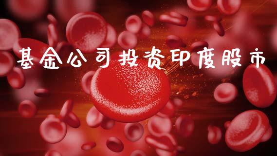 基金公司投资印度股市_https://www.fsyjjx.cn_理财资讯_第1张
