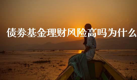 债劵基金理财风险高吗为什么_https://www.fsyjjx.cn_问财精选_第1张