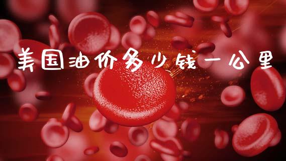 美国油价多少钱一公里_https://www.fsyjjx.cn_股指期货_第1张