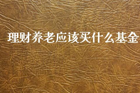 理财养老应该买什么基金_https://www.fsyjjx.cn_问财精选_第1张