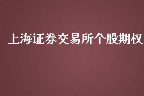 上海证券交易所个股期权_https://www.fsyjjx.cn_股指期货_第1张