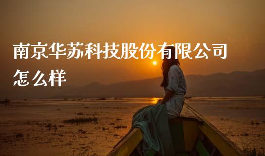 南京华苏科技股份有限公司怎么样_https://www.fsyjjx.cn_股票指导_第1张