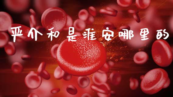 严介和是淮安哪里的_https://www.fsyjjx.cn_股票指导_第1张