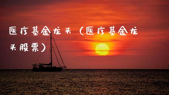 医疗基金龙头（医疗基金龙头股票）_https://www.fsyjjx.cn_理财资讯_第1张