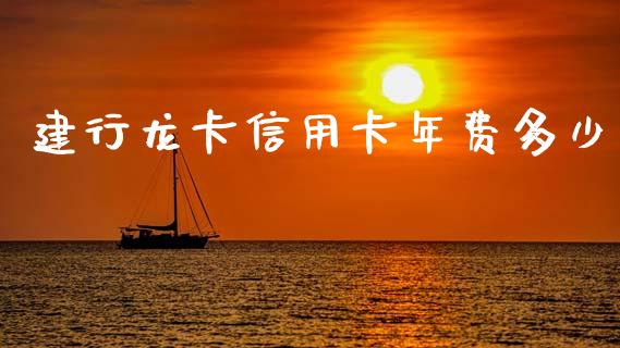 建行龙卡信用卡年费多少_https://www.fsyjjx.cn_股指期货_第1张