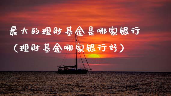 最大的理财基金是哪家银行（理财基金哪家银行好）_https://www.fsyjjx.cn_理财资讯_第1张