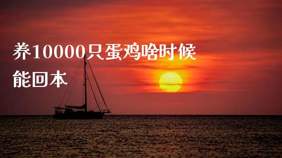 养10000只蛋鸡啥时候能回本_https://www.fsyjjx.cn_期货研报_第1张