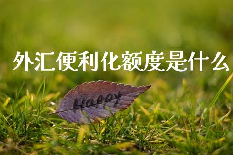 外汇便利化额度是什么_https://www.fsyjjx.cn_期货研报_第1张