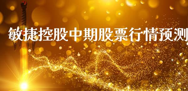 敏捷控股中期股票行情预测_https://www.fsyjjx.cn_股票指导_第1张