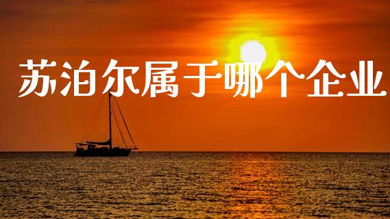 苏泊尔属于哪个企业_https://www.fsyjjx.cn_期货资讯_第1张