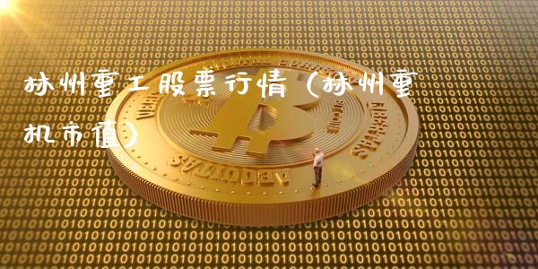 林州重工股票行情（林州重机市值）_https://www.fsyjjx.cn_股市分析_第1张