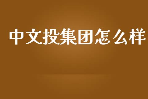 中文投集团怎么样_https://www.fsyjjx.cn_期货资讯_第1张