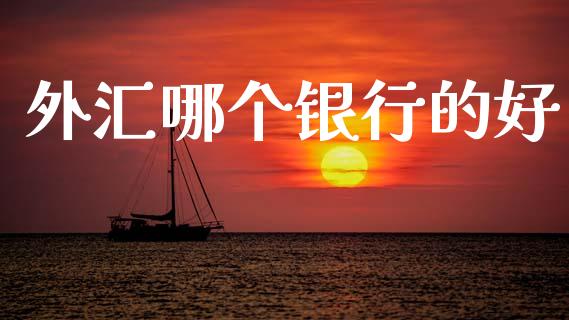 外汇哪个银行的好_https://www.fsyjjx.cn_理财资讯_第1张