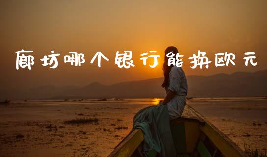 廊坊哪个银行能换欧元_https://www.fsyjjx.cn_理财资讯_第1张