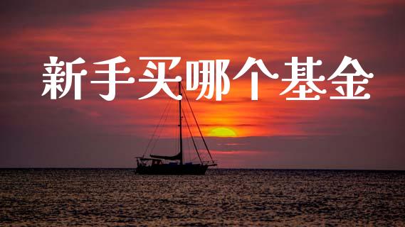 新手买哪个基金_https://www.fsyjjx.cn_股指期货_第1张