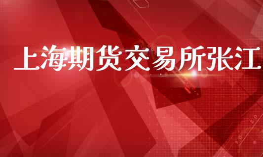 上海期货交易所张江_https://www.fsyjjx.cn_期货在线_第1张