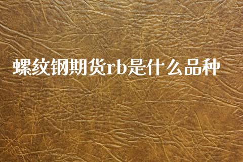 螺纹钢期货rb是什么品种_https://www.fsyjjx.cn_股票指导_第1张