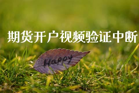 期货开户视频验证中断_https://www.fsyjjx.cn_股票指导_第1张