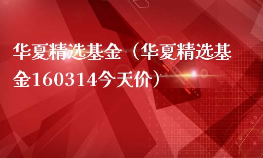 华夏精选基金（华夏精选基金160314今天价）_https://www.fsyjjx.cn_问财精选_第1张