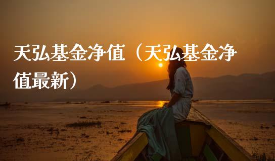 天弘基金净值（天弘基金净值最新）_https://www.fsyjjx.cn_理财资讯_第1张