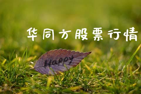 凊华同方股票行情_https://www.fsyjjx.cn_股市分析_第1张