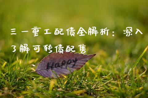 三一重工配债全解析：深入了解可转债配售_https://www.fsyjjx.cn_期货资讯_第1张
