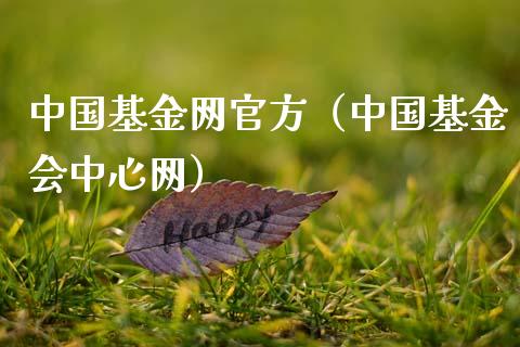中国基金网官方（中国基金会中心网）_https://www.fsyjjx.cn_问财精选_第1张