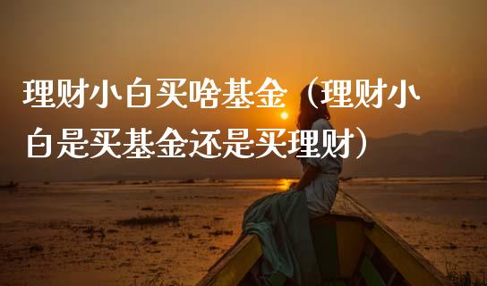理财小白买啥基金（理财小白是买基金还是买理财）_https://www.fsyjjx.cn_问财精选_第1张