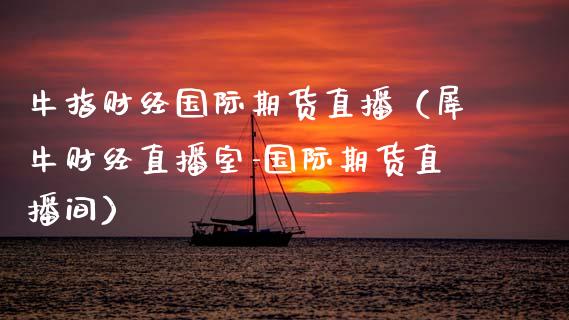 牛指财经国际期货直播（犀牛财经直播室-国际期货直播间）_https://www.fsyjjx.cn_期货在线_第1张