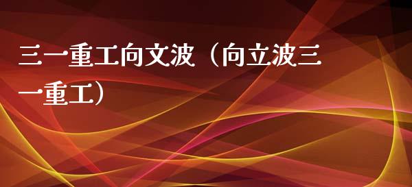三一重工向文波（向立波三一重工）_https://www.fsyjjx.cn_股指期货_第1张