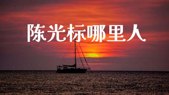 陈光标哪里人_https://www.fsyjjx.cn_股票指导_第1张
