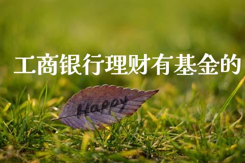 工商银行理财有基金的_https://www.fsyjjx.cn_问财精选_第1张