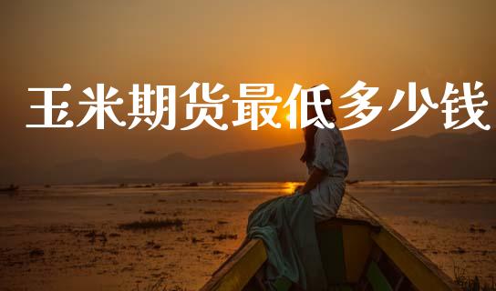 玉米期货最低多少钱_https://www.fsyjjx.cn_期货资讯_第1张