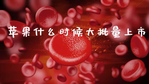 苹果什么时候大批量上市_https://www.fsyjjx.cn_期货研报_第1张