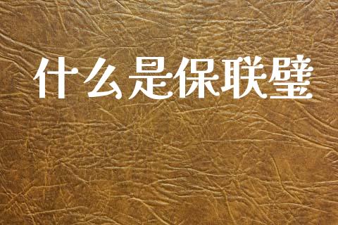 什么是保联璧_https://www.fsyjjx.cn_期货资讯_第1张