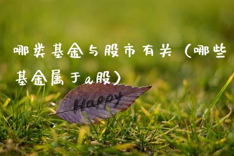 哪类基金与股市有关（哪些基金属于a股）_https://www.fsyjjx.cn_理财资讯_第1张