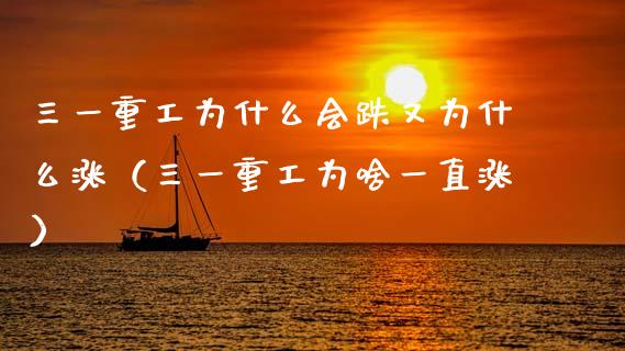 三一重工为什么会跌又为什么涨（三一重工为啥一直涨）_https://www.fsyjjx.cn_股指期货_第1张