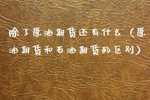 除了原油期货还有什么（原油期货和石油期货的区别）_https://www.fsyjjx.cn_期货资讯_第1张