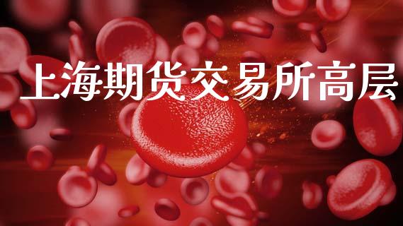 上海期货交易所高层_https://www.fsyjjx.cn_期货资讯_第1张