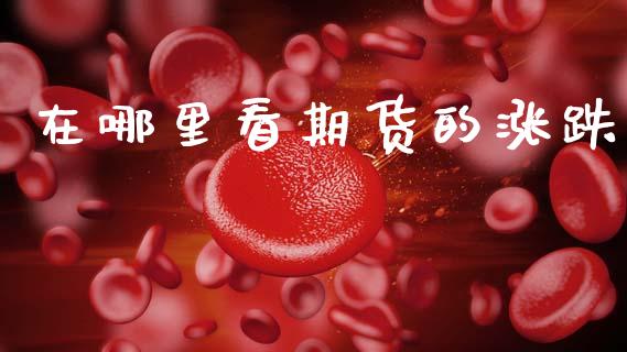 在哪里看期货的涨跌_https://www.fsyjjx.cn_期货研报_第1张