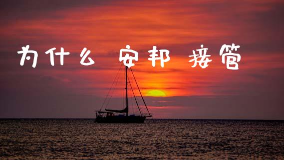 为什么 安邦 接管_https://www.fsyjjx.cn_理财资讯_第1张