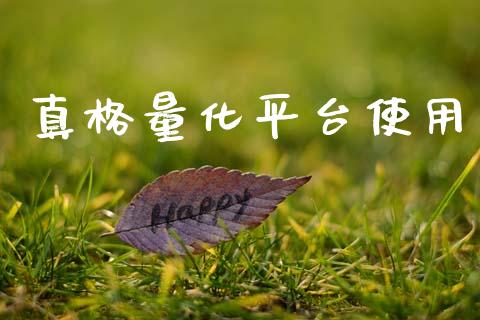 真格量化平台使用_https://www.fsyjjx.cn_期货资讯_第1张