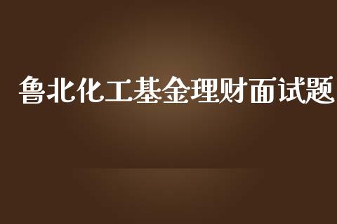 鲁北化工基金理财面试题_https://www.fsyjjx.cn_理财资讯_第1张