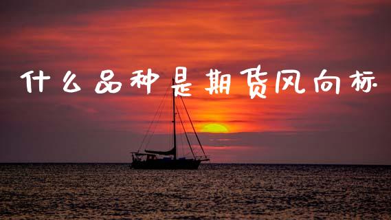 什么品种是期货风向标_https://www.fsyjjx.cn_股指期货_第1张