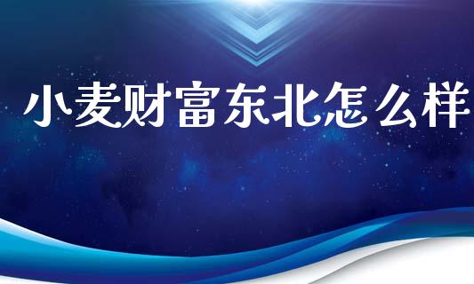 小麦财富东北怎么样_https://www.fsyjjx.cn_期货研报_第1张